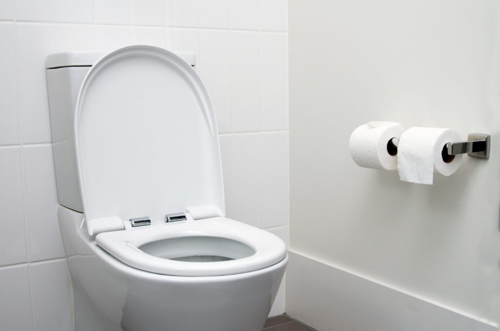 生活が激変 簡単にトイレを掃除するやり方を解説